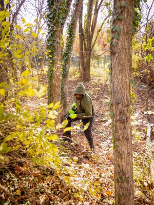 20251124_Ward8Woods-Stewards_AJP_0102