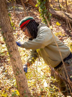 20251124_Ward8Woods-Stewards_AJP_0116